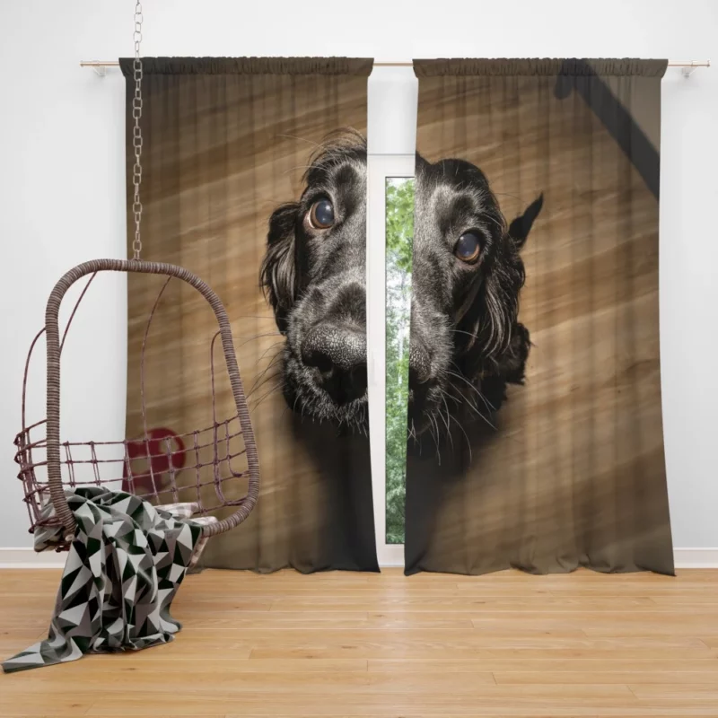 Dog Muzzle in Thought Canine Persona Curtain