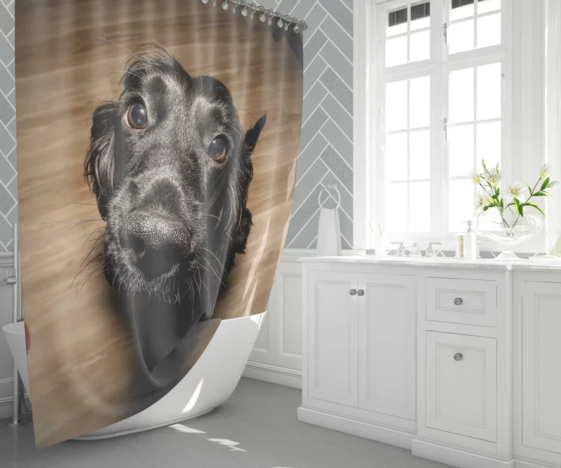 Dog Muzzle in Thought Canine Persona Shower Curtain 1