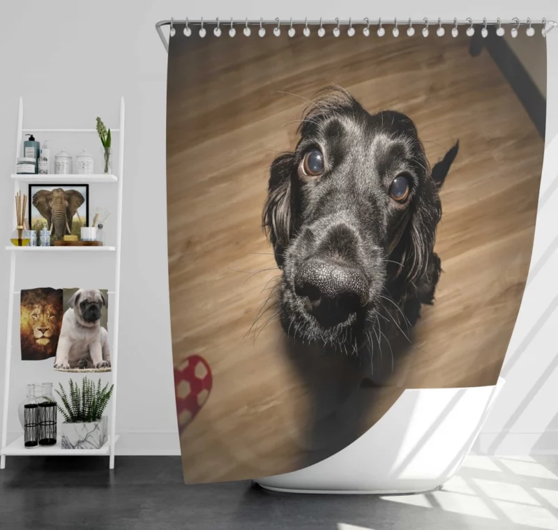 Dog Muzzle in Thought Canine Persona Shower Curtain