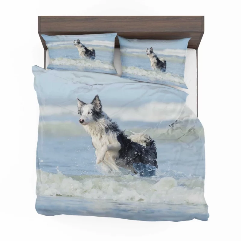 Dog Ocean Adventure Canine Wanderlust Bedding Set 1