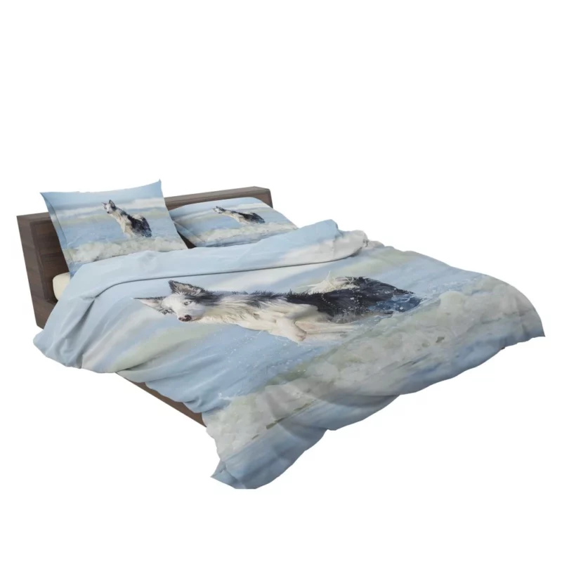 Dog Ocean Adventure Canine Wanderlust Bedding Set 2