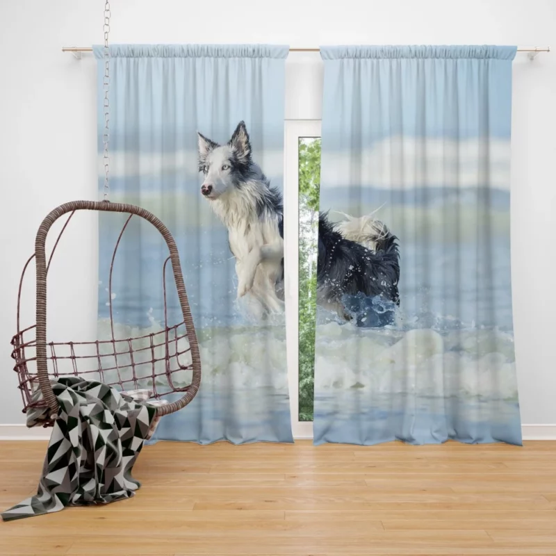 Dog Ocean Adventure Canine Wanderlust Curtain