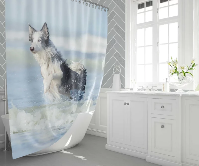 Dog Ocean Adventure Canine Wanderlust Shower Curtain 1