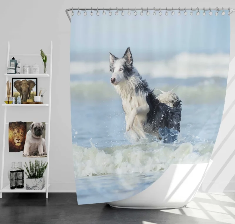 Dog Ocean Adventure Canine Wanderlust Shower Curtain