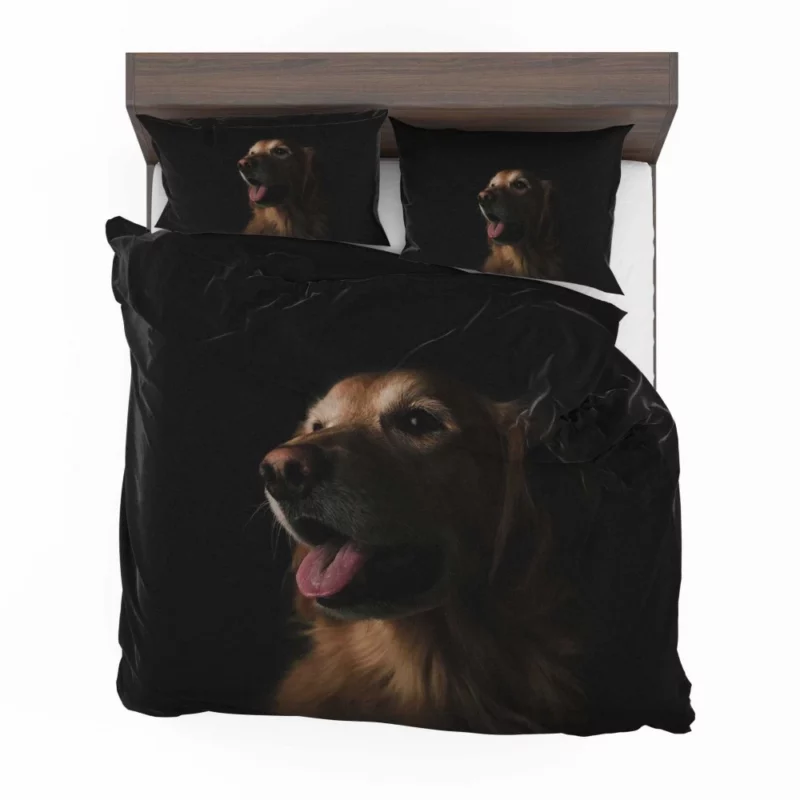 Dog Playful Antics Canine Delight Bedding Set 1