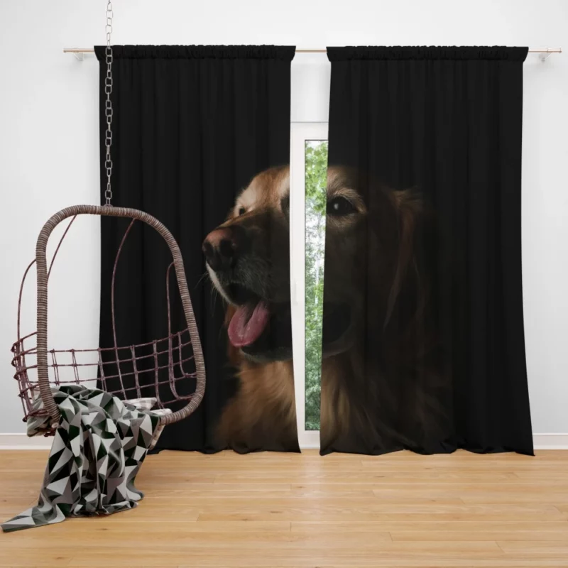 Dog Playful Antics Canine Delight Curtain