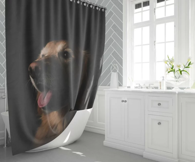 Dog Playful Antics Canine Delight Shower Curtain 1