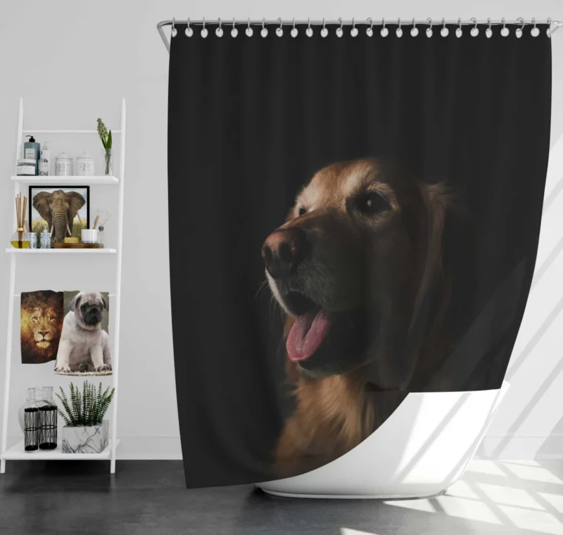 Dog Playful Antics Canine Delight Shower Curtain