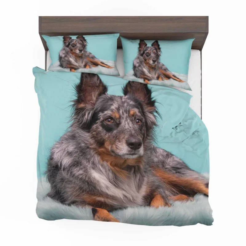 Dog Playful Essence Canine Wonders Bedding Set 1