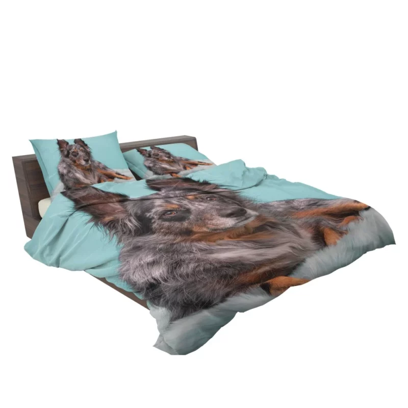 Dog Playful Essence Canine Wonders Bedding Set 2