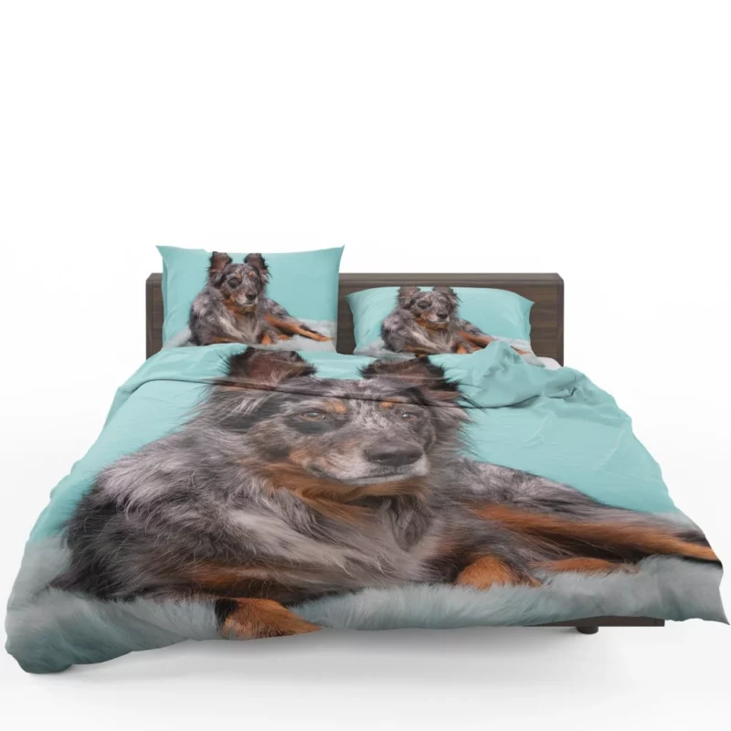 Dog Playful Essence Canine Wonders Bedding Set