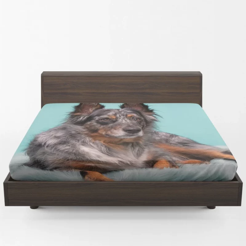 Dog Playful Essence Canine Wonders Fitted Sheet