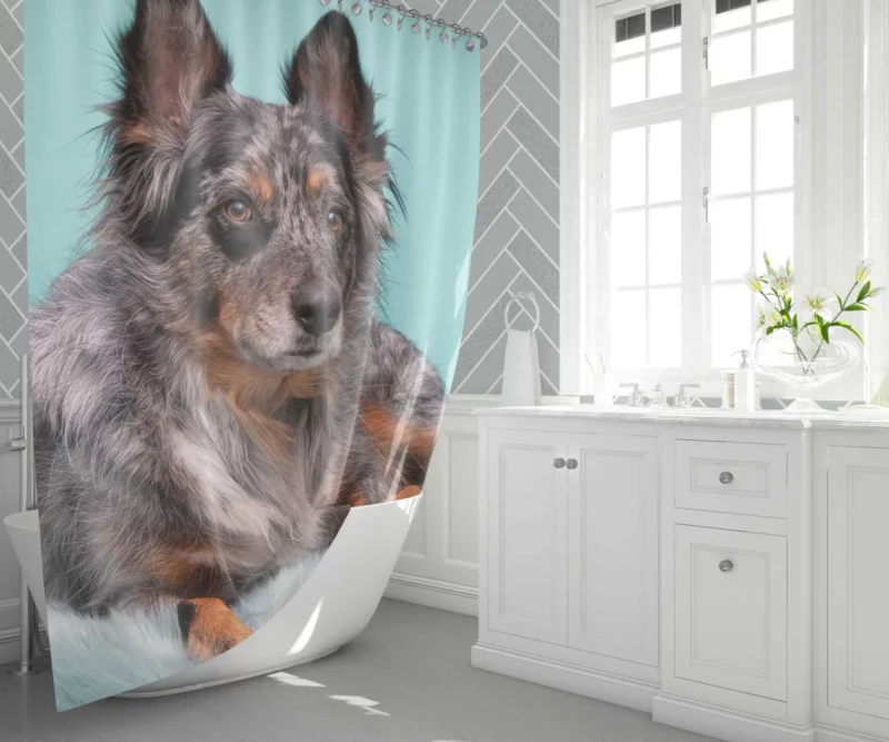 Dog Playful Essence Canine Wonders Shower Curtain 1