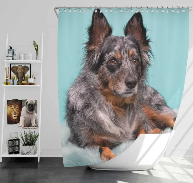 Dog Playful Essence Canine Wonders Shower Curtain