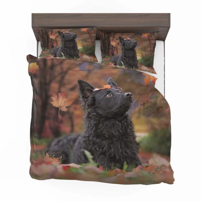 Dog Playful Fall Adventure Bedding Set 1