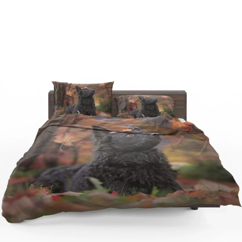 Dog Playful Fall Adventure Bedding Set