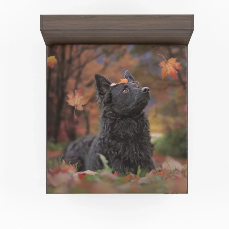 Dog Playful Fall Adventure Fitted Sheet 1