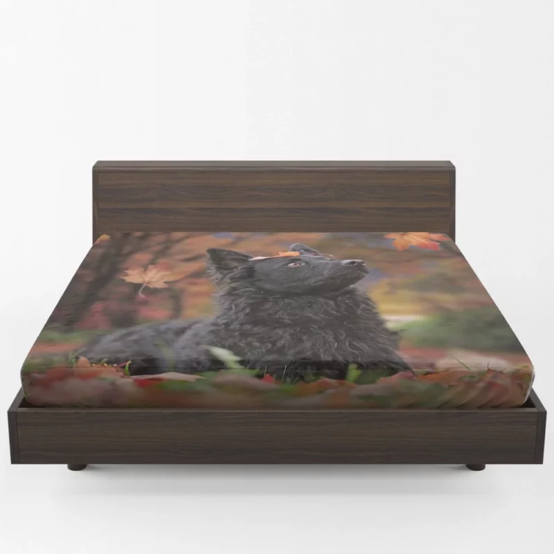 Dog Playful Fall Adventure Fitted Sheet