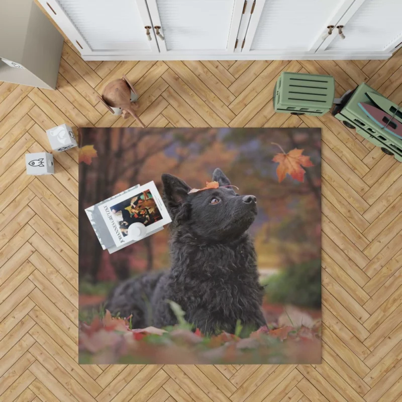 Dog Playful Fall Adventure Rug