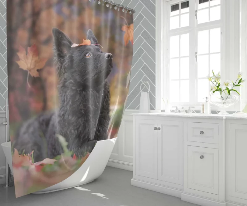 Dog Playful Fall Adventure Shower Curtain 1