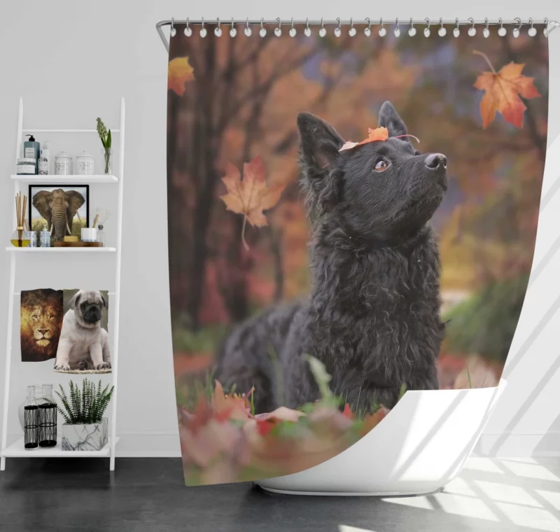 Dog Playful Fall Adventure Shower Curtain