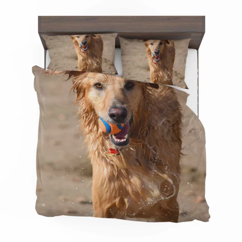 Dog Playful Muzzle Furry Antics Bedding Set 1