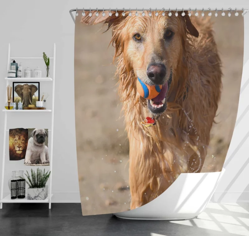 Dog Playful Muzzle Furry Antics Shower Curtain