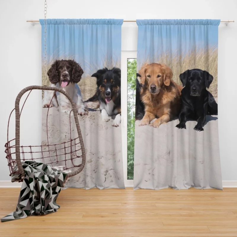 Dog Playful Sand Adventure Curtain