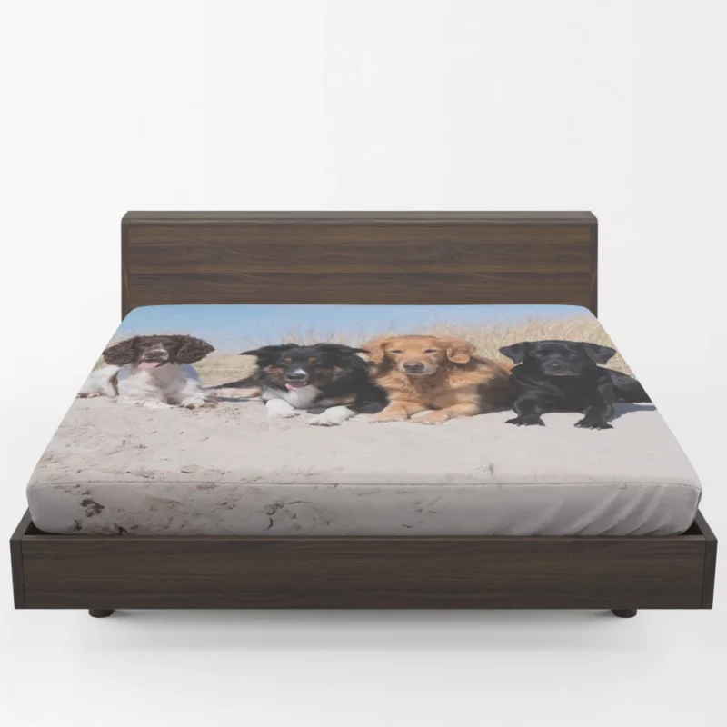 Dog Playful Sand Adventure Fitted Sheet