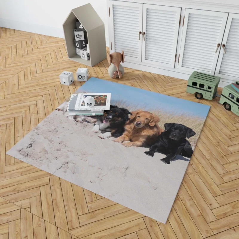 Dog Playful Sand Adventure Rug 1