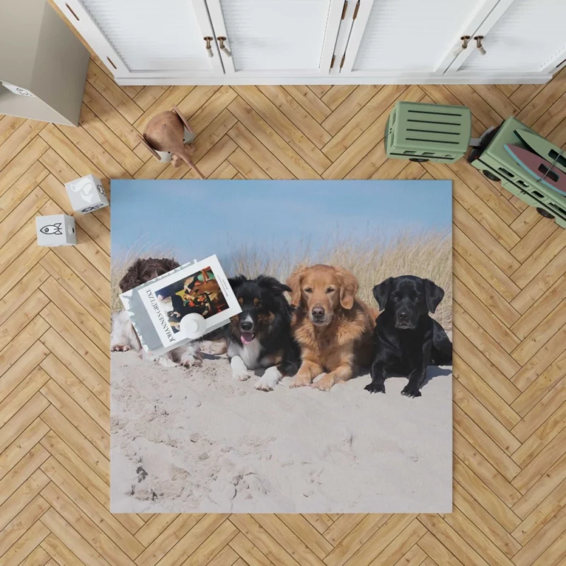 Dog Playful Sand Adventure Rug