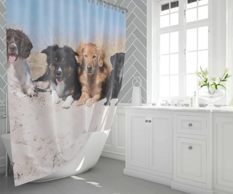 Dog Playful Sand Adventure Shower Curtain 1