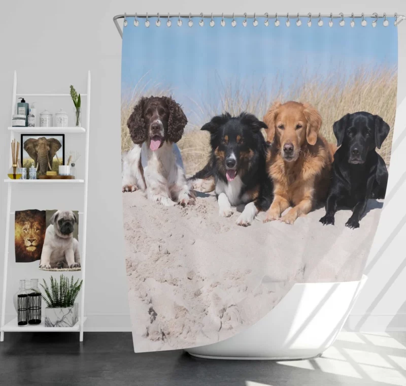 Dog Playful Sand Adventure Shower Curtain