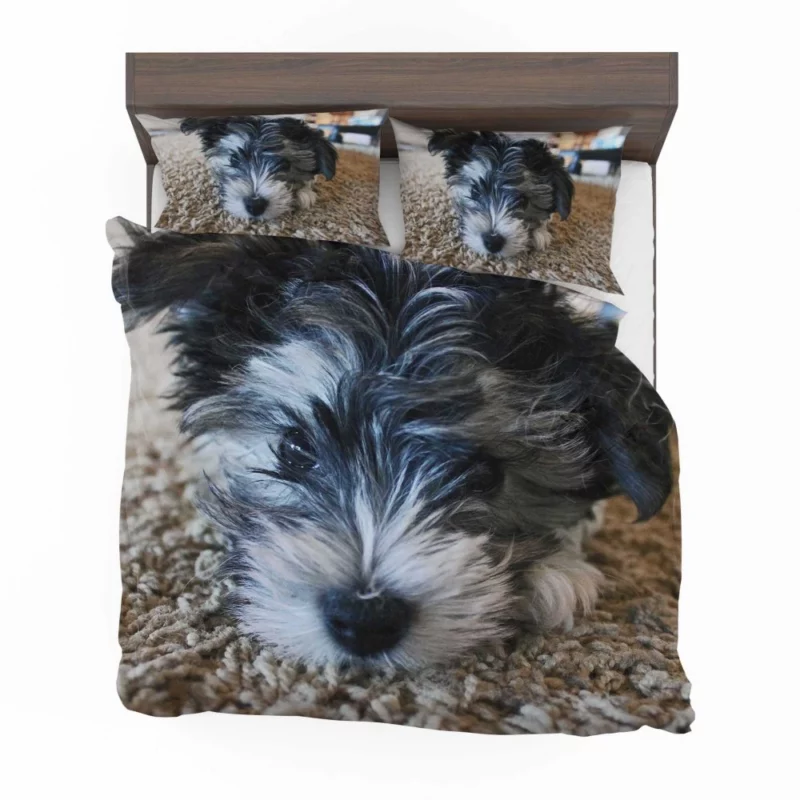 Dog Playful Spirit Joyful Moments Bedding Set 1