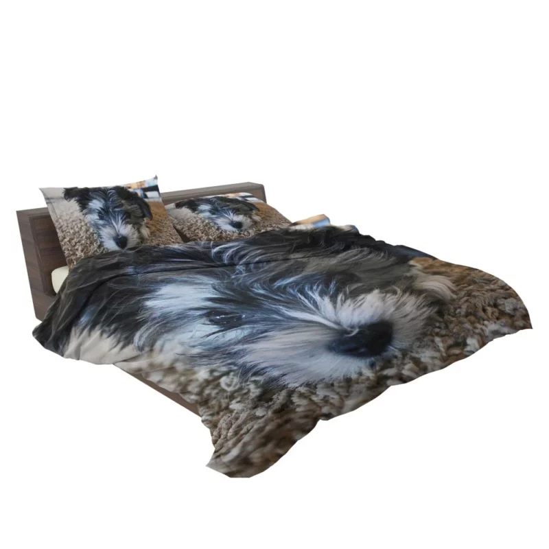 Dog Playful Spirit Joyful Moments Bedding Set 2