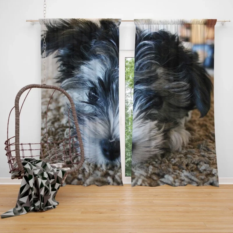 Dog Playful Spirit Joyful Moments Curtain