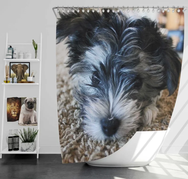 Dog Playful Spirit Joyful Moments Shower Curtain