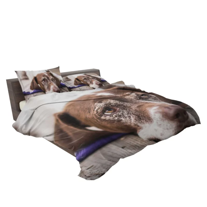 Dog Reflective Gaze Muzzle Moments Bedding Set 2