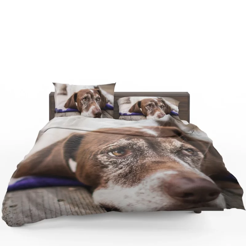 Dog Reflective Gaze Muzzle Moments Bedding Set