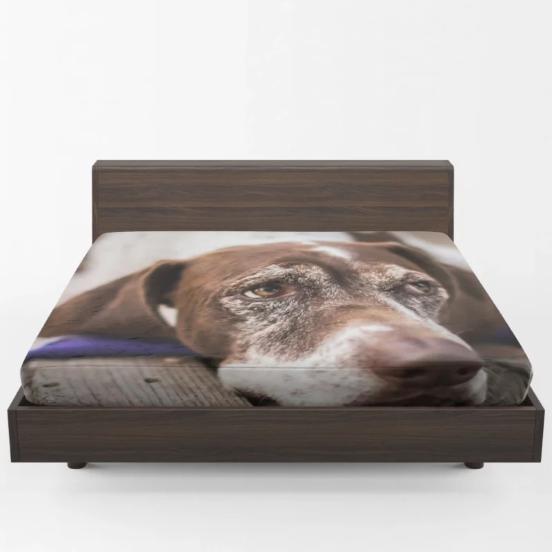 Dog Reflective Gaze Muzzle Moments Fitted Sheet