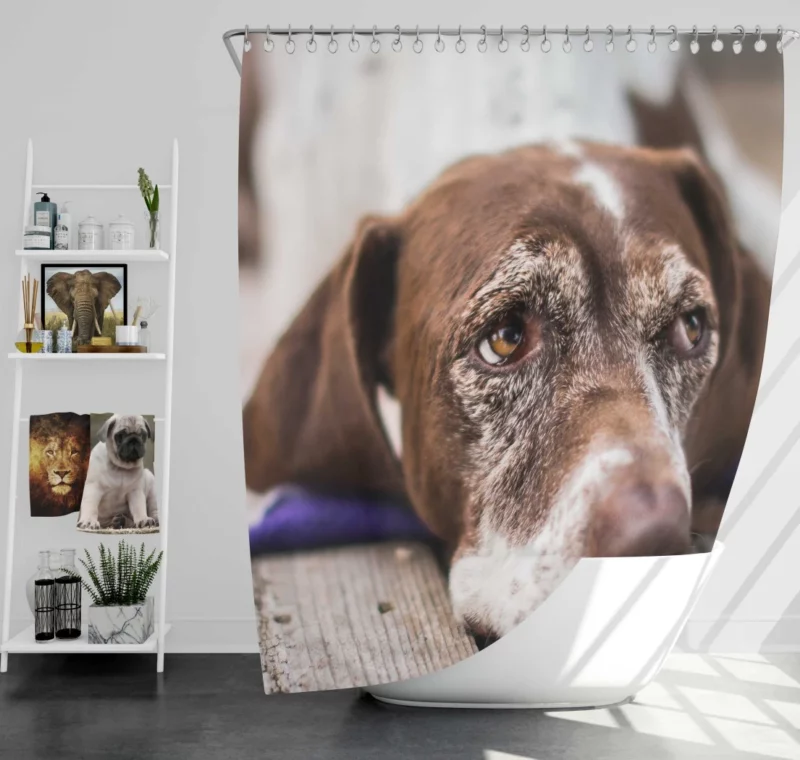 Dog Reflective Gaze Muzzle Moments Shower Curtain