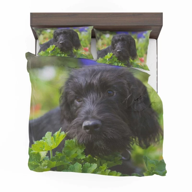 Dog Restful Gaze Canine Serenity Bedding Set 1