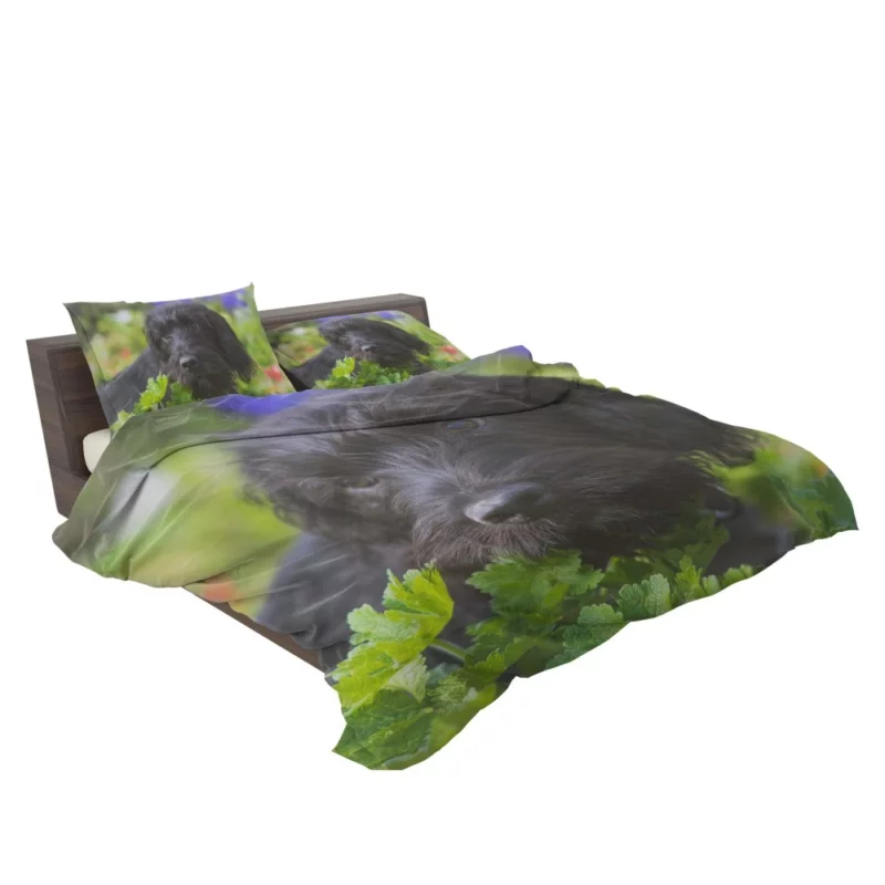 Dog Restful Gaze Canine Serenity Bedding Set 2