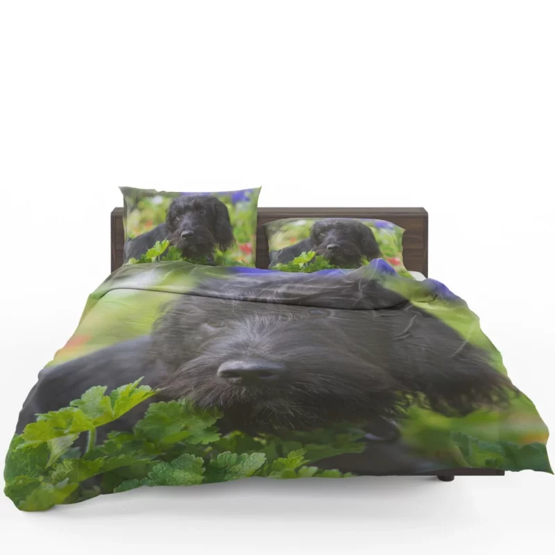 Dog Restful Gaze Canine Serenity Bedding Set