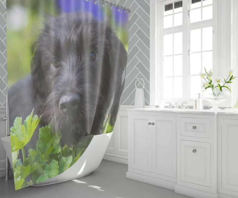 Dog Restful Gaze Canine Serenity Shower Curtain 1