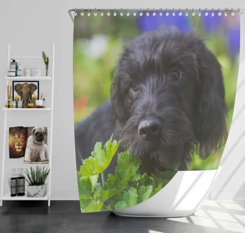 Dog Restful Gaze Canine Serenity Shower Curtain