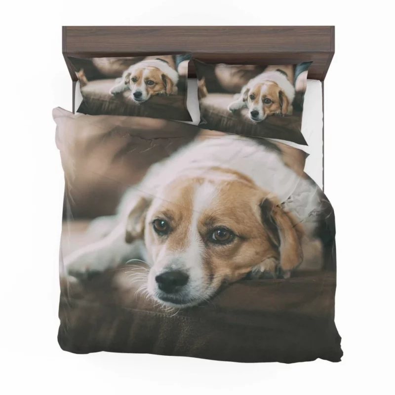 Dog Sofa Retreat Relaxing Moments Bedding Set 1