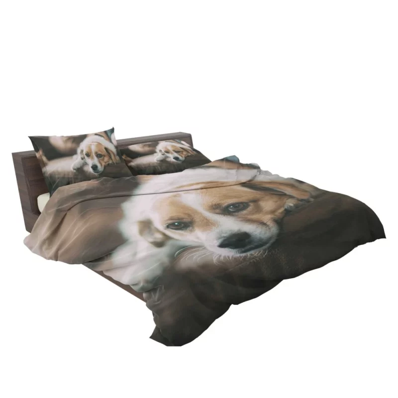 Dog Sofa Retreat Relaxing Moments Bedding Set 2