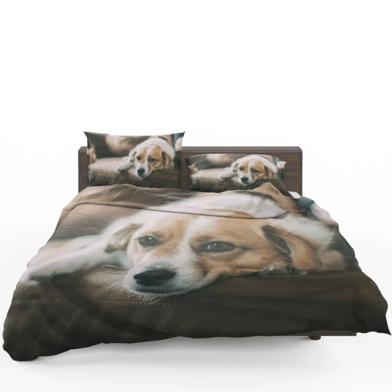 Dog Sofa Retreat Relaxing Moments Bedding Set