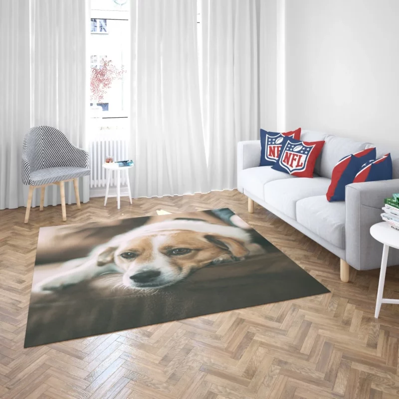 Dog Sofa Retreat Relaxing Moments Rug 2